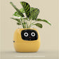 Smart Flower Pot with Facial Expression Control