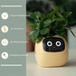 Smart Flower Pot with Facial Expression Control